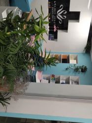 -斐尔国际皮肤管理中心