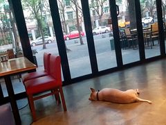 -Cactus墨西哥仙人掌餐厅