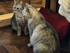 -隅cafe(傅厚岗店)