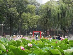 -四川大学(望江校区)