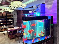 -岭南故事·影院足道SPA·石岐店