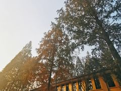 -T80科技文化国际社区-停车场