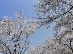 -苏州上方山国家森林公园