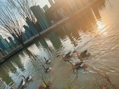 -西安浐灞国家湿地公园