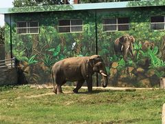 -西安秦岭野生动物园