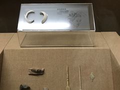-烟台市博物馆