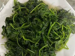 -品雅轩农家乐
