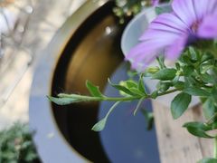 -三忘湖 SWANSEEN(柳荫公园店)