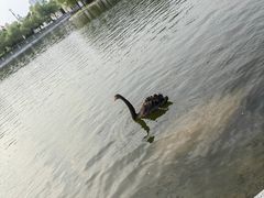 -长春世界雕塑园