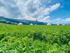 -新疆那拉提国家旅游度假区