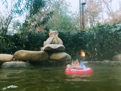 -天目湖涵田半山温泉