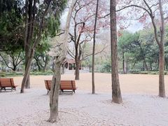 -汇龙潭