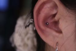 -众刺纹画·纹身·穿孔饰品·海娜定制