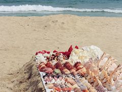 IMG_0988_副本-三亚亚龙湾红树林度假酒店