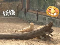 -济南野生动物世界
