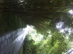 望江楼公园-望江楼公园