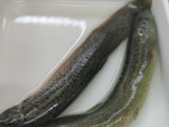 泥鳅-七掌柜自助火锅(瑞城店)