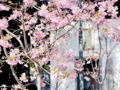 -乌山风景区