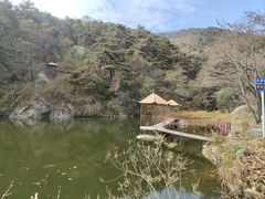 -鲁山国家森林公园