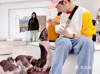 心情不好就来这里撸猪吧！