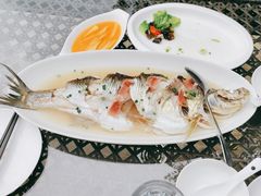 -西院1号(龙井店)