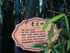-佛山市三水区大南山森林公园