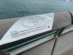 -星光大道