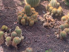 -亿利库布其七星湖沙漠生态旅游区