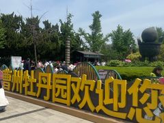 -曹州牡丹园
