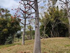 -中国移动南方基地