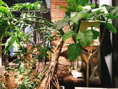 -HERB SPICE(来凤街店)