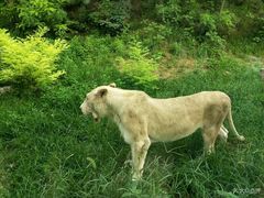 -石家庄市动物园