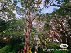 -Chom Cafe and Restaurant