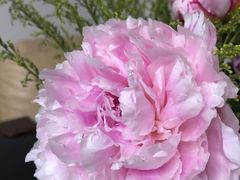 -巴黎贝甜(宜山路店)