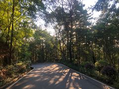 -神光山国家森林公园