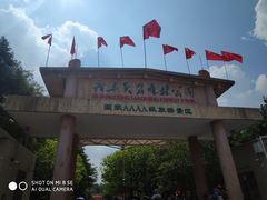 -广东茂名森林公园