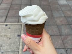 -海港城