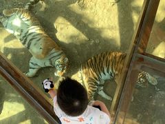 -栾川竹海野生动物园