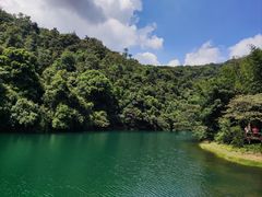 -鼎湖山风景区