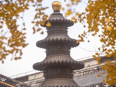-上海青龙寺