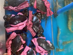 -2048香辣虾(七星岗店)