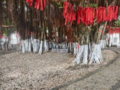 -胡里山炮台