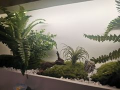 -松幸日式料理(中山路店)