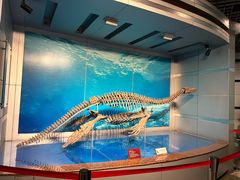 -自贡恐龙博物馆