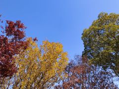 -梁鸿国家湿地公园