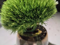 -王品牛排(合肥万象城店)