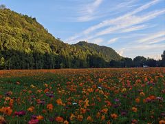 -贵阳市花溪国家城市湿地公园