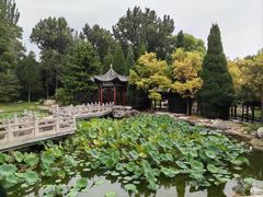 -晋祠公园