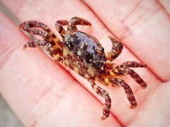 -西涌国际滨海旅游区