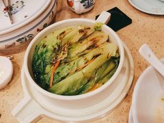 白灼意大利生菜-点都德(北京路贰店)